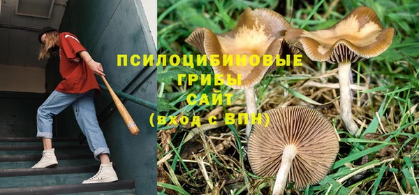 spice Бугульма