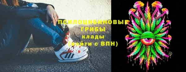 spice Бронницы