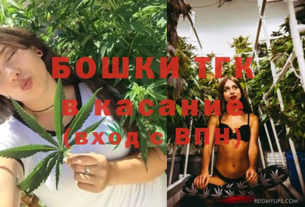 метадон Богданович
