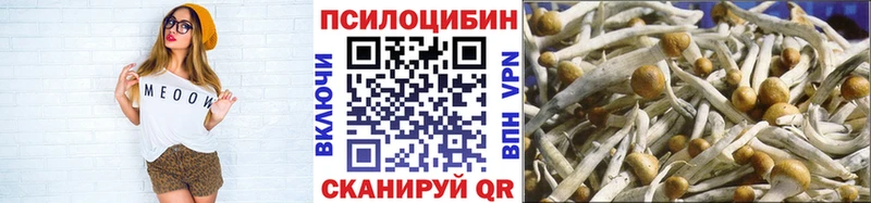 Псилоцибиновые грибы Cubensis  мега вход  Среднеуральск  закладки 