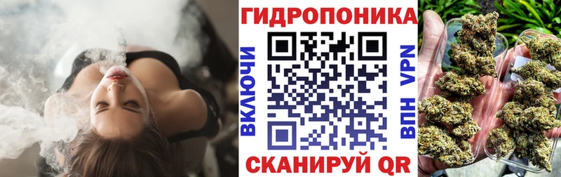 ОМГ ОМГ   Среднеуральск  Каннабис Amnesia 